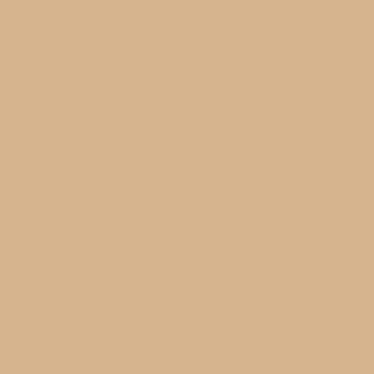 BRESSER SBP15 Papierhintergrundrolle 1,69 x 11m Beige