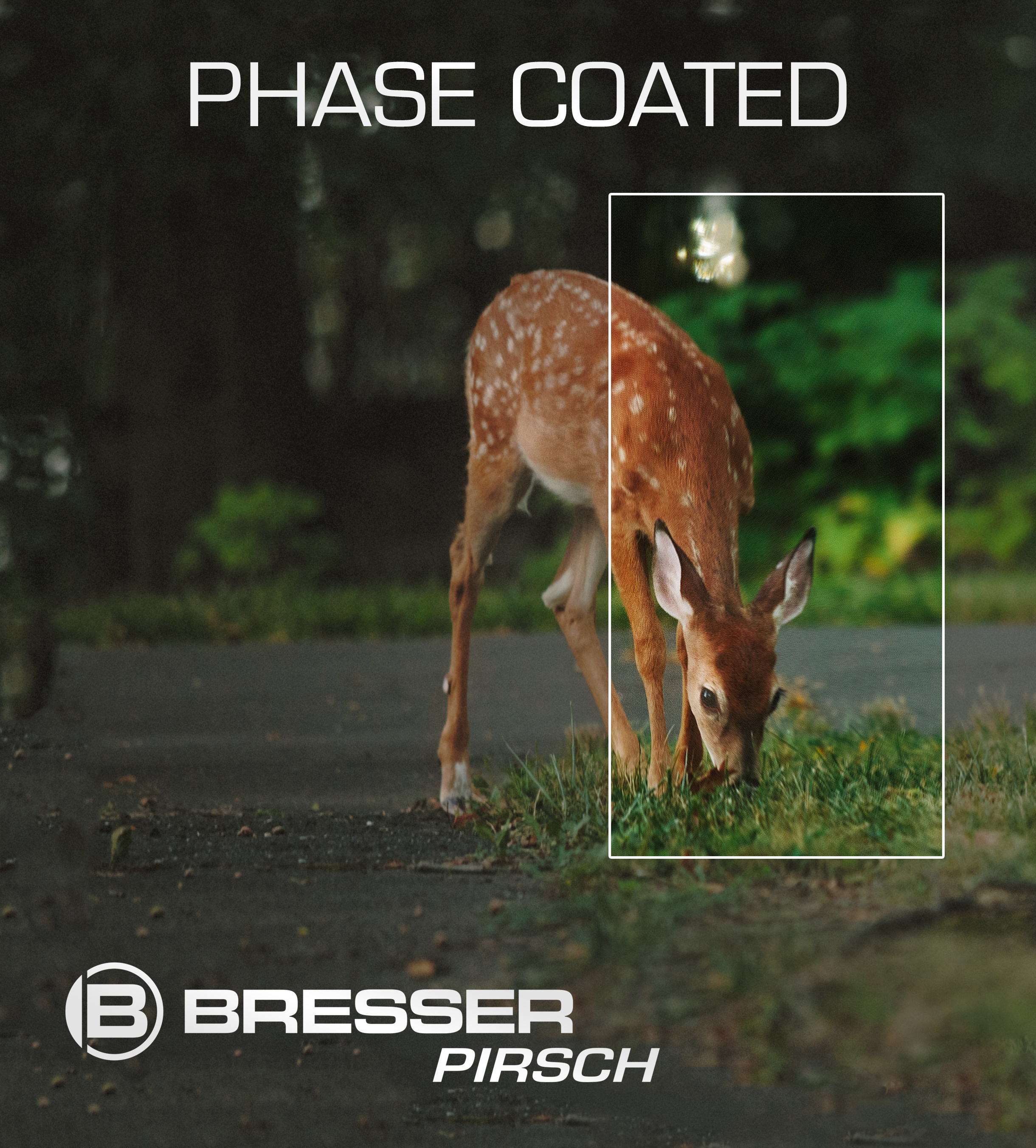 BRESSER Pirsch 8x34 Fernglas mit Phasenvergütung