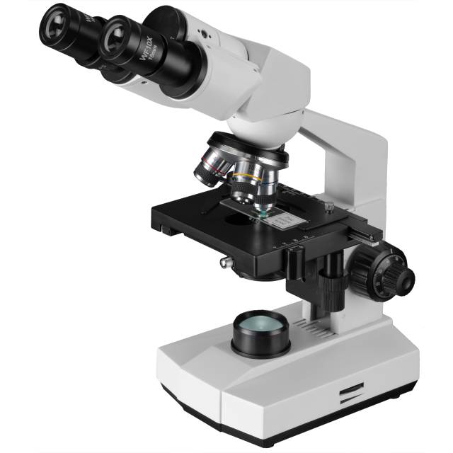 Microscope Bresser Erudit ICD loupe binoculaire (30.5)