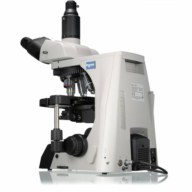 Portaobjetos para microscopio de gran tamaño - Histología / portaobjetos  microscopía - Análisis - Microbiología - Medición - Equipo de laboratorio
